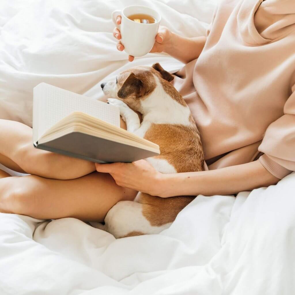 bda5e4dd78443271bfb464d5cf399808786ae9ef